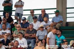 AficionVerderona-40