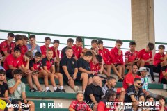 Afición de la UD Roteña