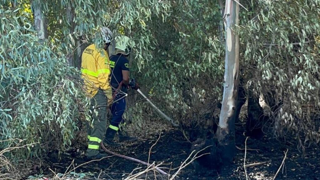 Protección Civil y Armada sofocan un incendio en un campo de Rota