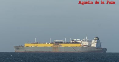 El metanero Vivit Americas LNG navega rumbo al puerto de Cádiz