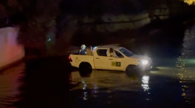 Rescatan en Rota a una oveja atrapada en el Arroyo Alcántara