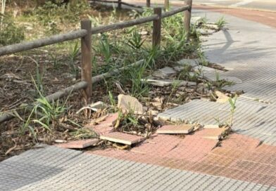 Vecinos de Rota alertan del abandono urbano y ambiental en Punta Candor pese al aumento de impuestos