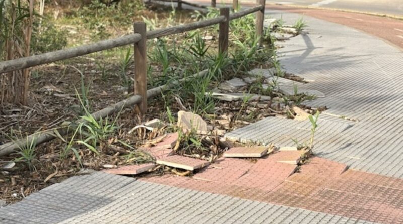 Vecinos de Rota alertan del abandono urbano y ambiental en Punta Candor pese al aumento de impuestos