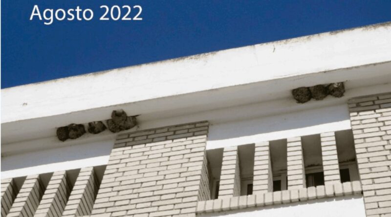 Ecologistas en Acción denuncia la destrucción de nidos de golondrinas en Rota