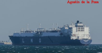Un metanero de gran porte permanece fondeado en la Bahía de Cádiz