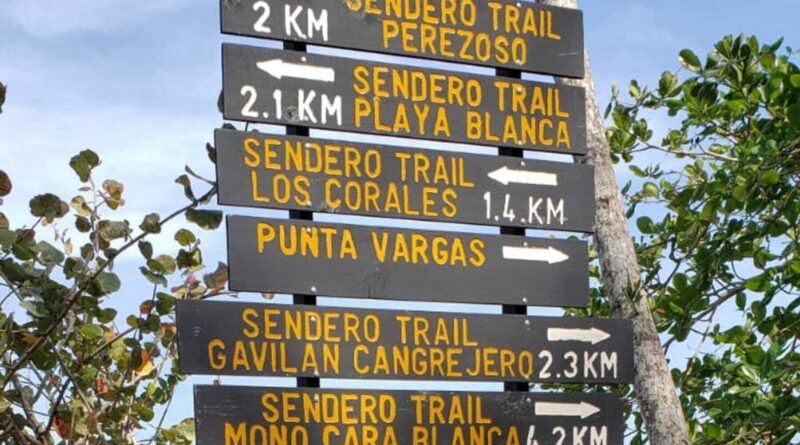 El Juan Sebastián de Elcano inicia escala oficial en Puerto Limón con agenda institucional