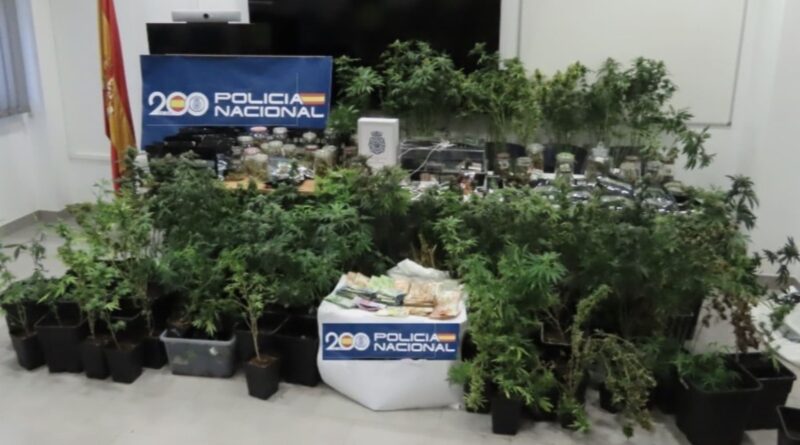 Incautación realizada por Policía Nacional