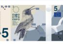 Propuesta de nuevo billete de cinco euros